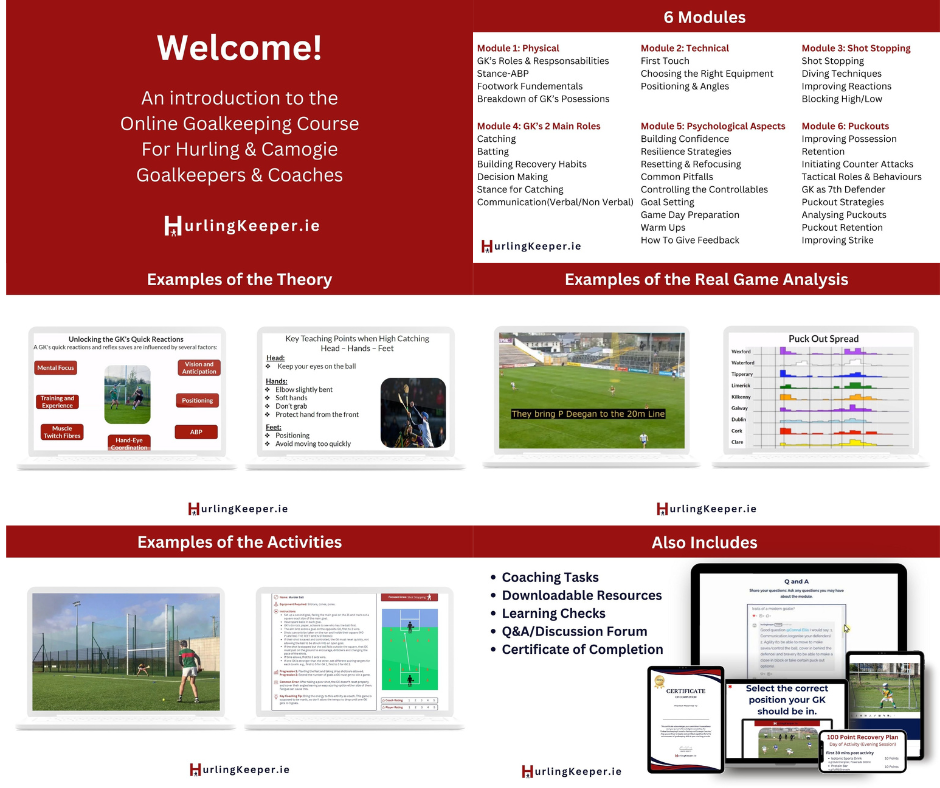 Online Goalkeeping Course for Hurling & Camogie Goalkeepers & Coaches